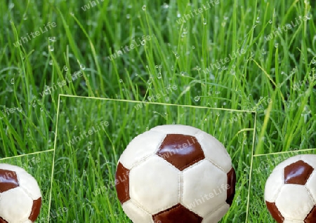 Fussball - (Kuchen) im Rasen