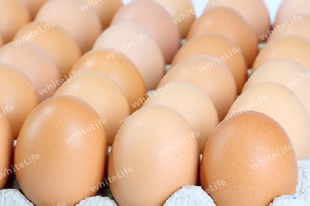 Eier auf eine Kartonpallette auf hellem Hintergrund