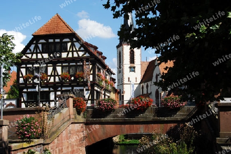 Historisches Fachwerkhaus in Weingarten