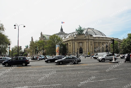 Grand Pallais in Paris