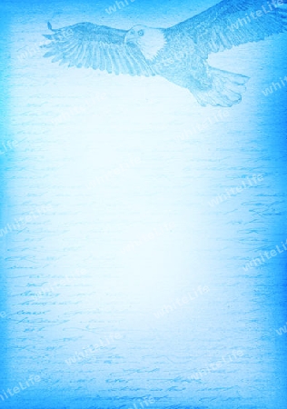 Adler auf blauem Hintergrund