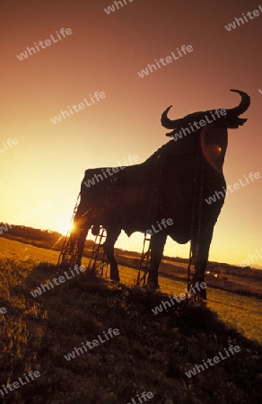 Eine Werbetafel mit einem Spanischen Stier steht in der Landscahft im Zentrum der Insel Mallorca einer der Balearen Inseln im Mittelmeer.  