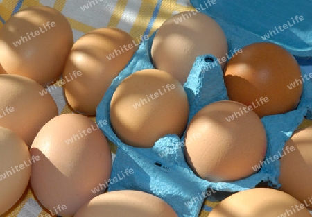 Braune Eier in Blauem Eierkarton
