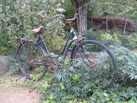 Fahrrad im Garten