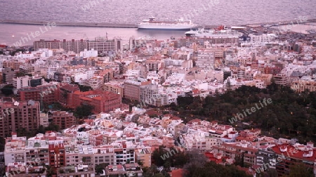 The view of the City of Santa Cruz on the Island of Tenerife on the Islands of Canary Islands of Spain in the Atlantic.  