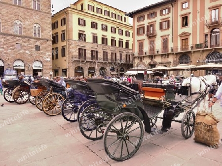 Pferdekutschen in Florenz