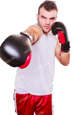 Entschlossen Boxer demonstriert seine Macht