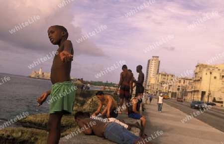 the Malecon road on the coast in the old townl of the city of Havana on Cuba in the caribbean sea