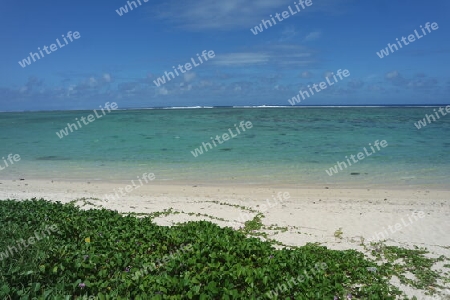 Strandwinde am einsamen Strand, Mauritius