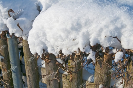 winterliche Szene mit verschneitem Zaun