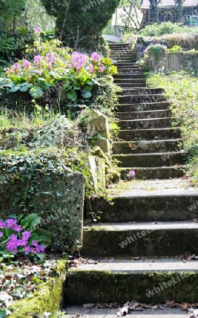 Steile Treppe in den Garten