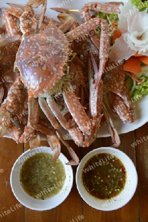 Crab in einem Seafood Restaurant in der Hauptstadt Phuket Town auf der Insel Phuket im sueden von Thailand in Suedostasien.