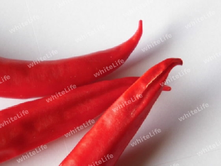 Chili rot Chilischoten scharf drei Schoten spitz