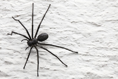 Spinne-Skulptur aus Blech