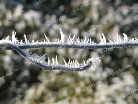 Frosty wire