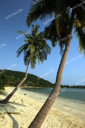 Ein Strand bei Chumphon an der Schiffsstation fuer die weiterfahrt zur Insel To Tao im Golf von Thailand im Suedwesten von Thailand in Suedostasien. 