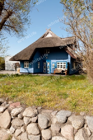 Blaue Scheune in Ahrenshoop, Fischland, Deutschland