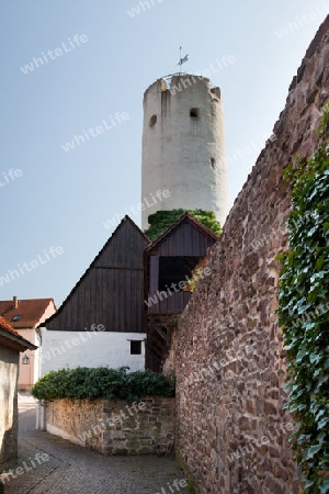 Stadtmuseum und Waagenmuseum Oschatz mit altem Stadtturm