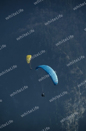Paraglider_02