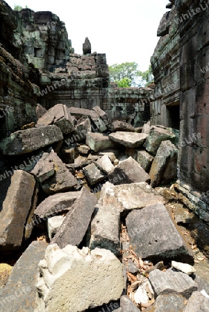 The Temple of  Ta Prohm in the Temple City of Angkor near the City of Siem Riep in the west of Cambodia.
