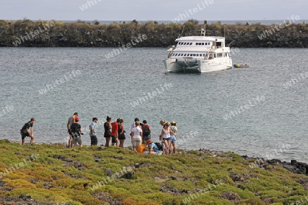 Touristengruppe auf Insel Plaza Sur, Galapagos, Unesco Welterbe, Ecuador, Suedamerika, Pazifik