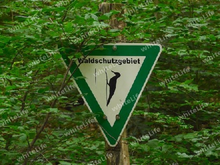 Waldschutzgebiet Schild P1260859
