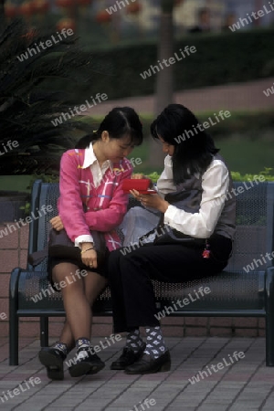 women in a parc in the city of Shenzhen north of Hongkong in the province of Guangdong in china in east asia. 