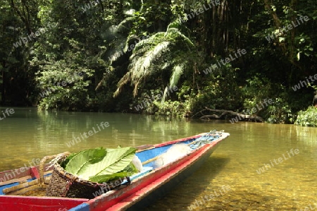 Bootsfahrt durch Borneos Regenwald