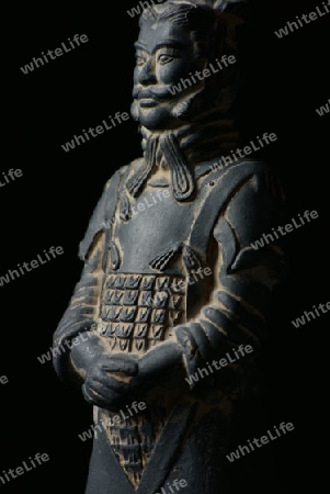 Ein chinesischer Terracotta Krieger, nach links schauend und von links beleuchtet, im Hochformat.