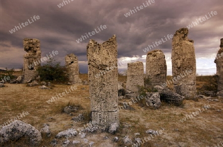 the stone forest near the city of Varna on the Blacksea in Bulgaria in east Europe.