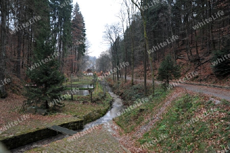 Elbsandsteingebirge Wanderweg Amselgrund  bei Rathen 