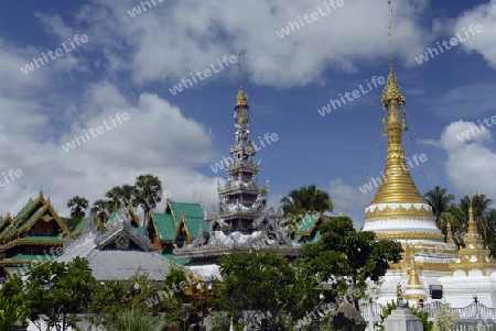 Der Tempel Wat Jong Kham und Jong Klang am See Nong Jong Kham im Dorf Mae Hong Son im norden von Thailand in Suedostasien.
