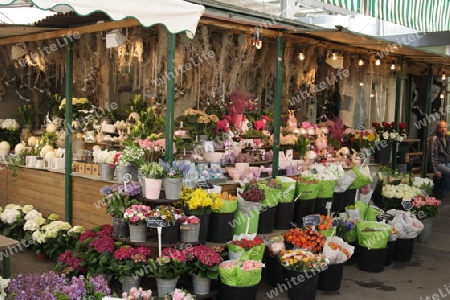 Blumen - Blumenmarkt