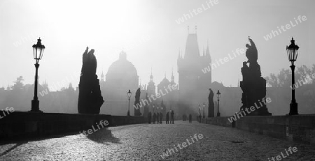Prag - Karlsbruecke in den Mebel am morgen