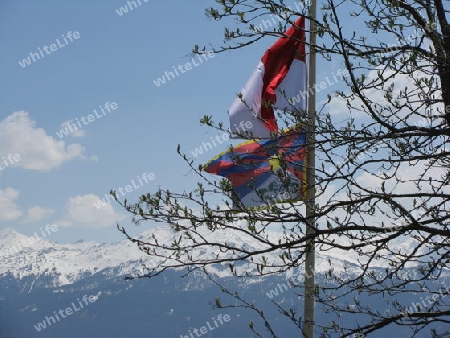 Tibetflagge und Aeste in Tirol