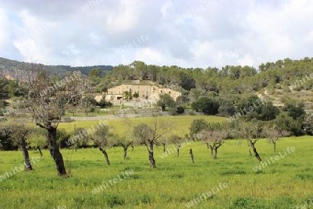 Landschaft bei Paguera