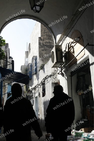 Afrika, Nordafrika, Tunesien, Tunis
Eine Gasse in der Medina mit dem Markt oder Souq in der Altstadt der Tunesischen Hauptstadt Tunis




