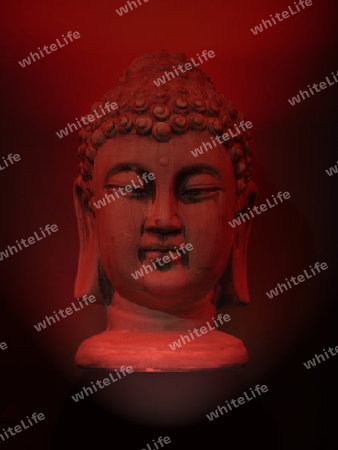 Buddha rot       