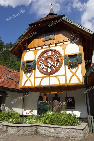 Kuckucksuhrhaus im Schwarzwald
