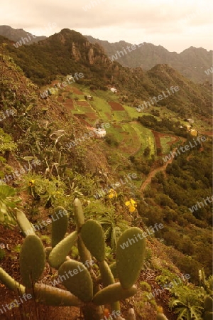 The Montanas de Anaga in the northeast of the Island of Tenerife on the Islands of Canary Islands of Spain in the Atlantic.  