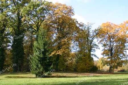 Park Babelsberg Herbststimmung