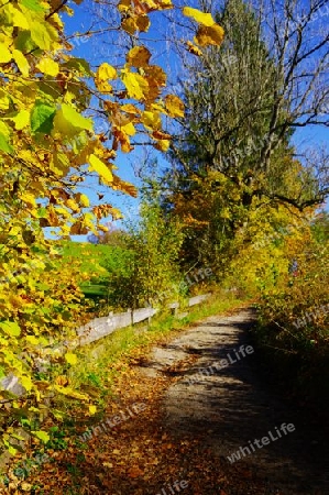 Herbstwanderung in Oberbayern