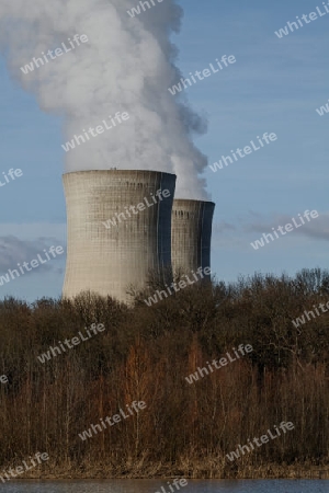 Atomkraftwerk und Natur - ein Widerspruch?