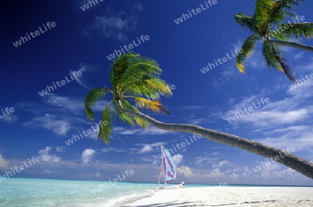Ein Traumstrand auf einer Insel der Malediven im Indischen Ozean.