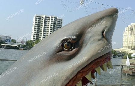 Ein Haifisch Gebilde im Stadtteil Bangrak am Mae Nam Chao Phraya River in der Hauptstadt Bangkok von Thailand in Suedostasien.