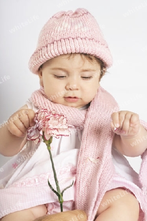 Stock Photo:  Baby Girl Holding Carnation