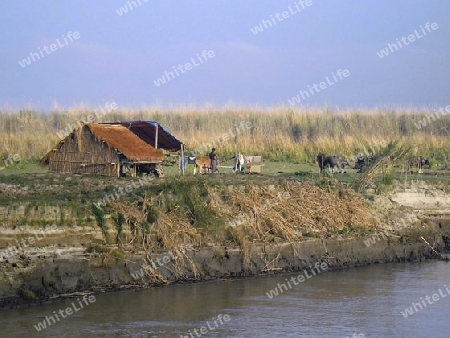 Bauernhaus am Irrawaddy River in Myanmar