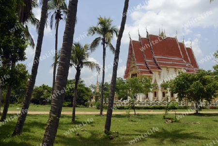 Der Tempel Wat Pak Saeng bei Lakhon Pheng am Mekong River in der Provinz Amnat Charoen nordwestlich von Ubon Ratchathani im nordosten von Thailand in Suedostasien.