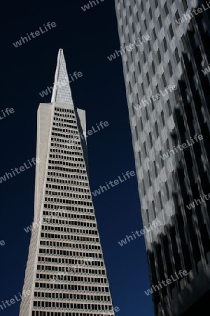 "Transamerica Pyramid" in San Francisco