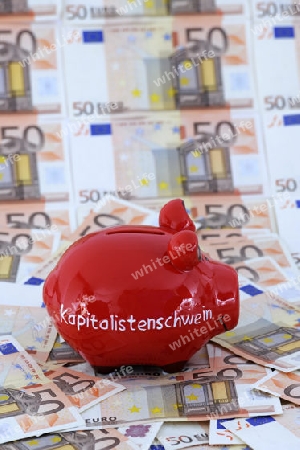 Sparschwein mit der Aufschrift " Kapitalistenschwein" und diversen 50 Euro Banknoten